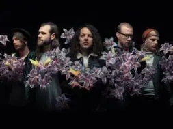 A Lot Like Birds 2017