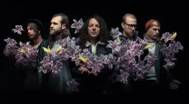 A Lot Like Birds 2017