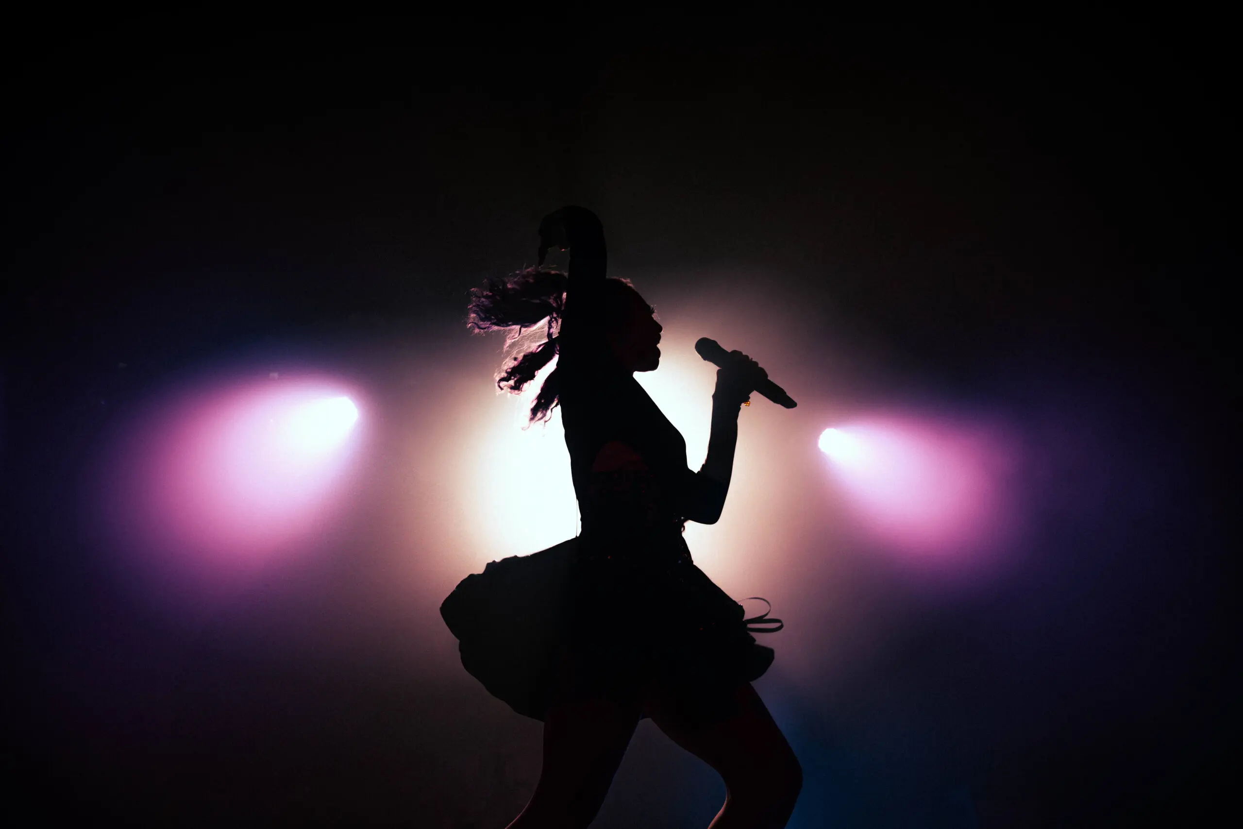 Honey Revenge (The Loving and Losing Tour) – 15