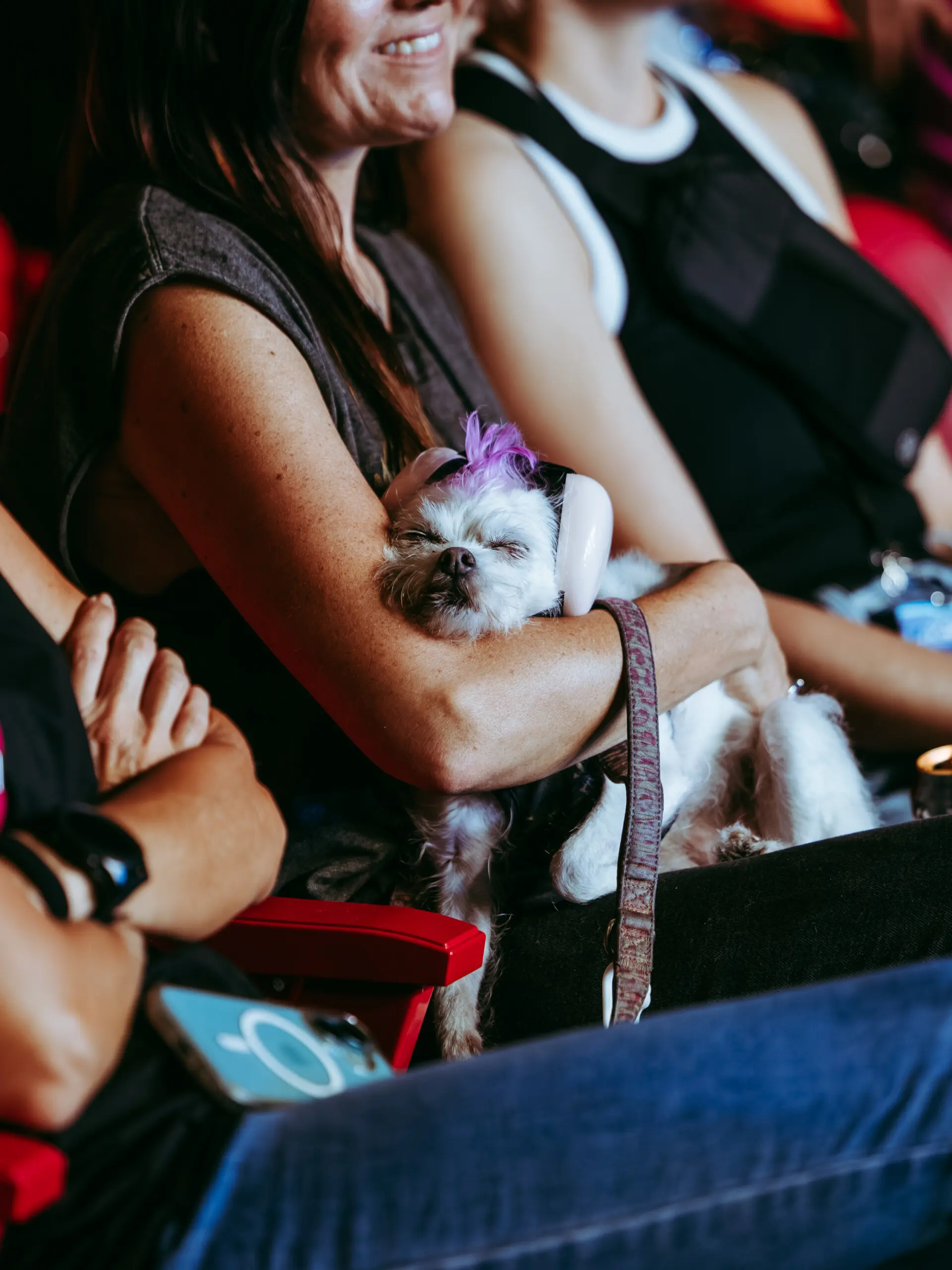 The Offspring Shoreline-1