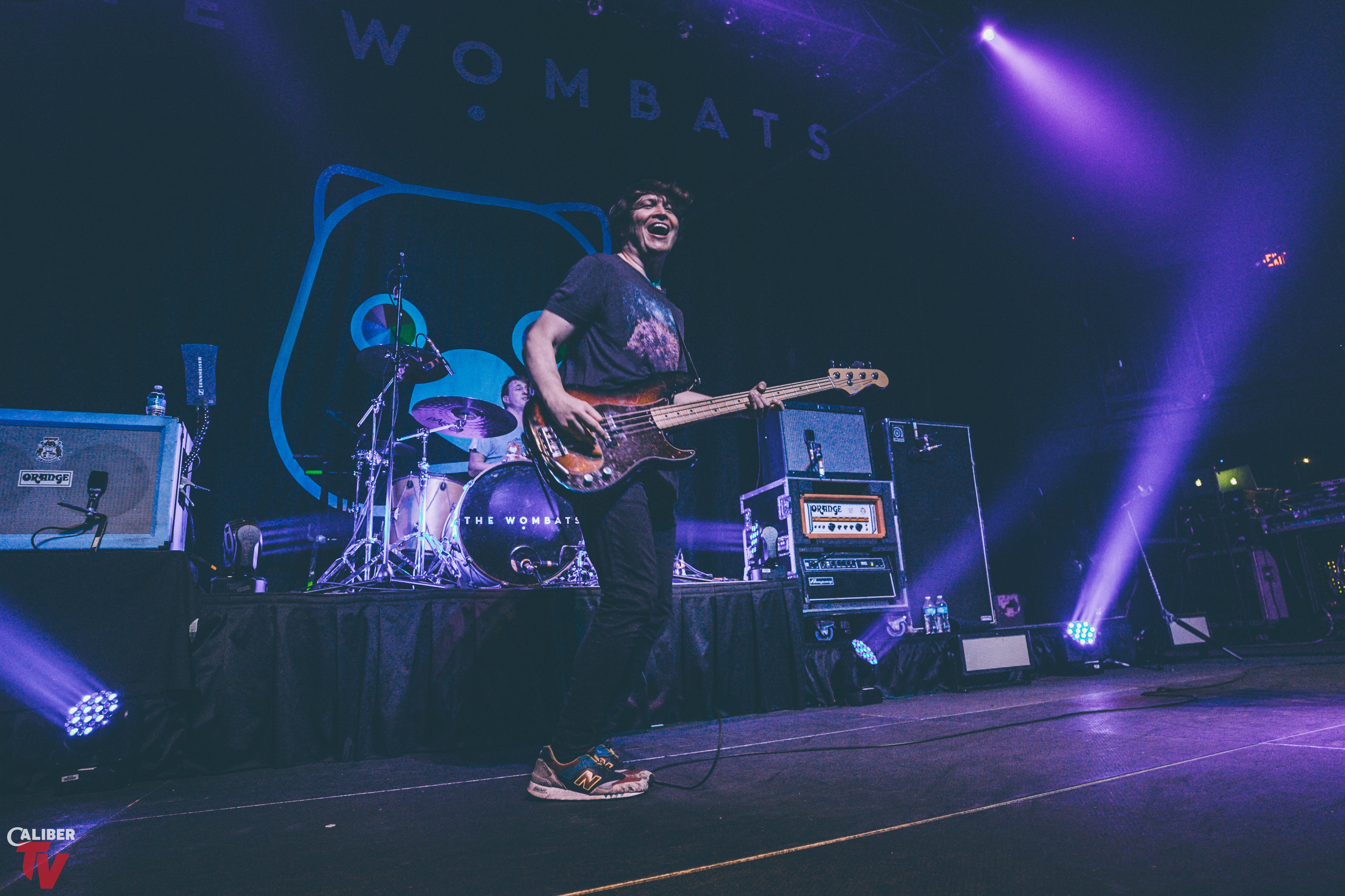 The Wombats