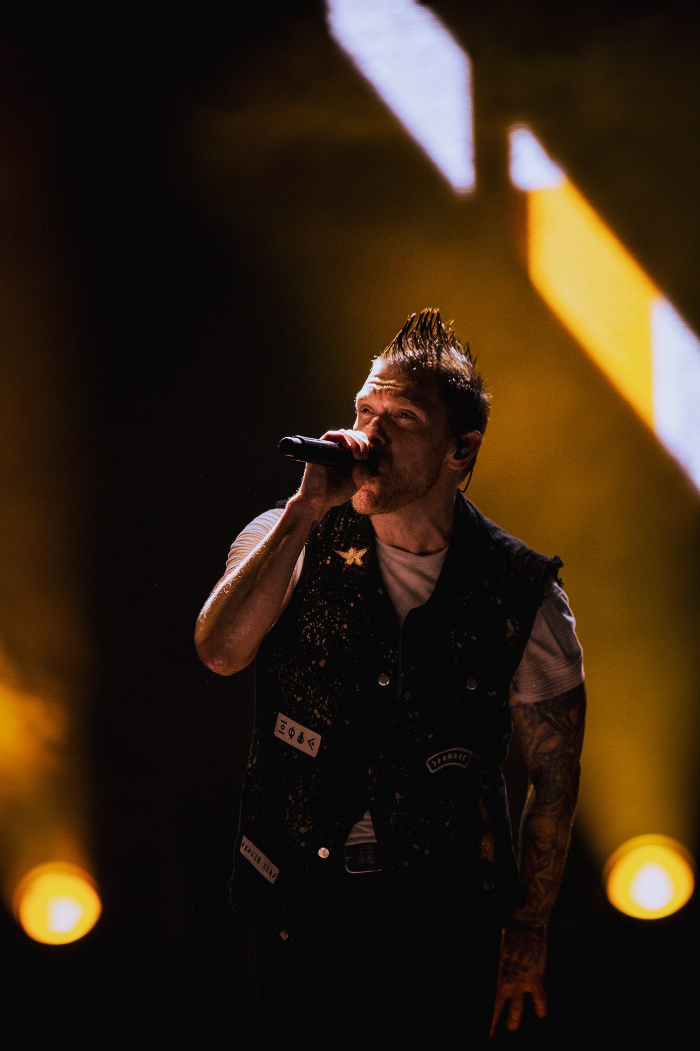 Shinedown tampa 10